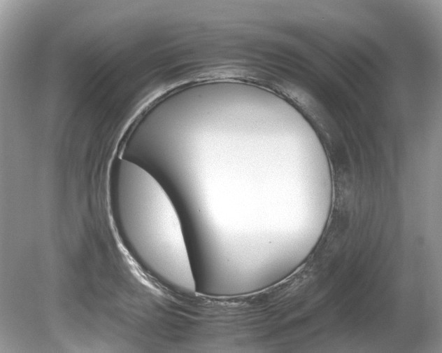 X0000080191039200612081155