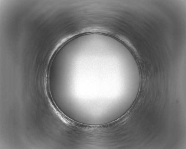 X0000080191040200612081155