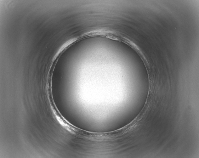 X0000080191042200612081155