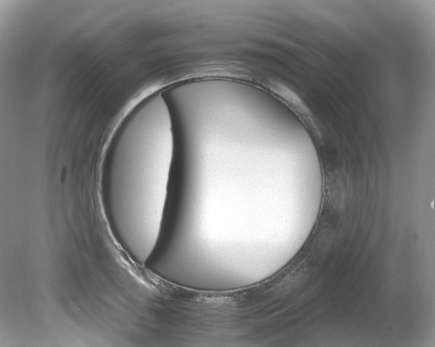 X0000080191043200612081155