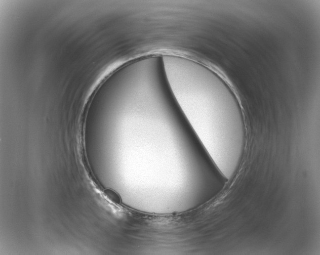 X0000080191048200612081155