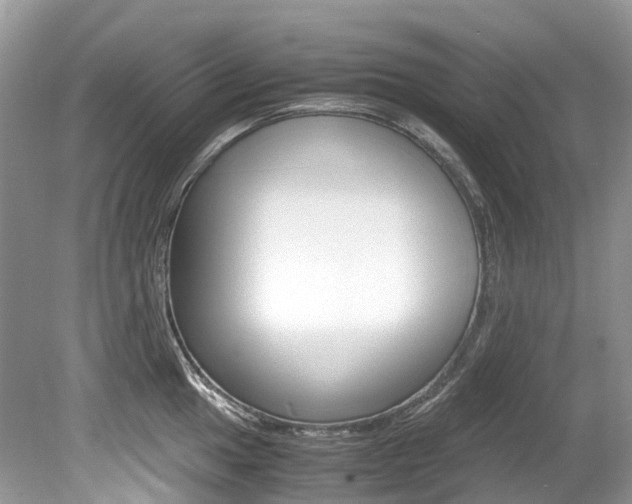 X0000080191049200612081155