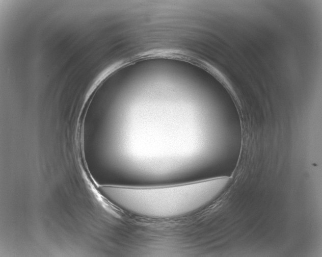 X0000080191050200612081155