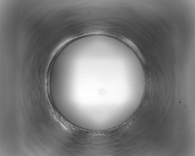 X0000080191051200612081155