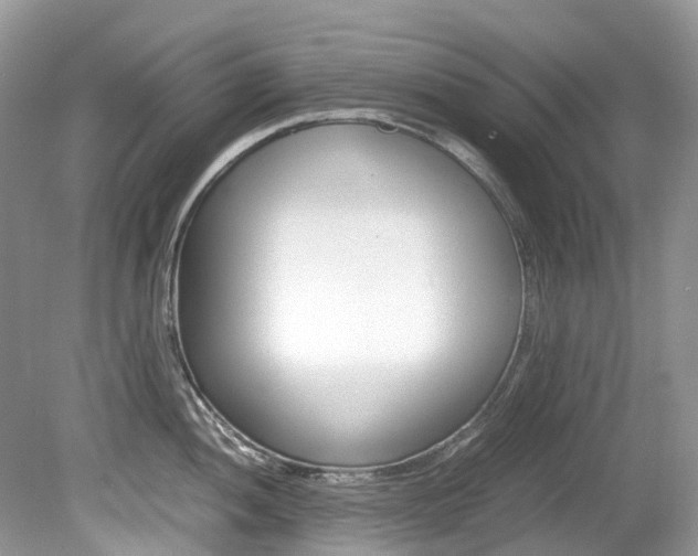 X0000080191052200612081155