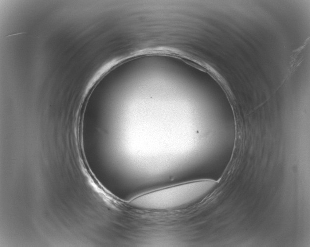 X0000080191054200612081155