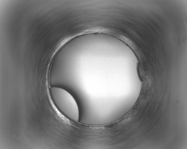 X0000080191055200612081155