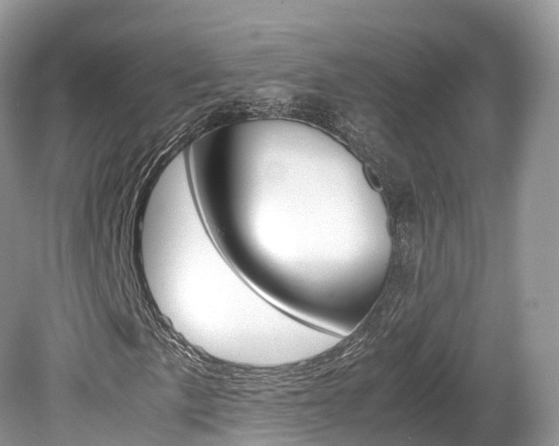 X0000080191057200612081154