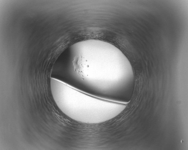 X0000080191058200612081154