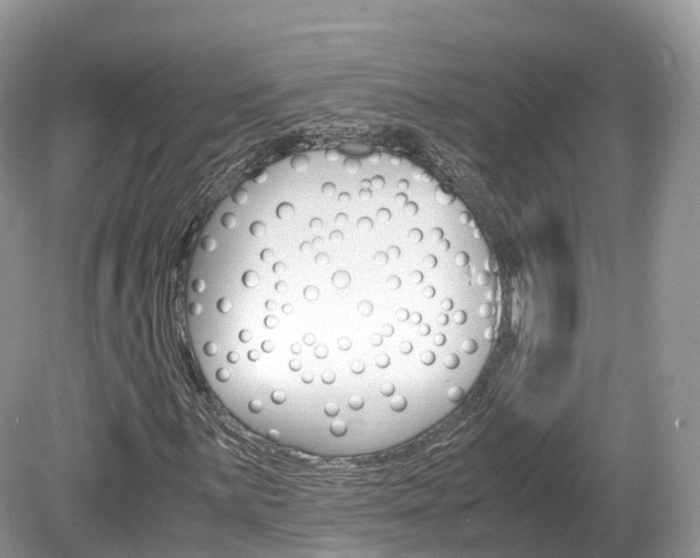 X0000080191059200612081154