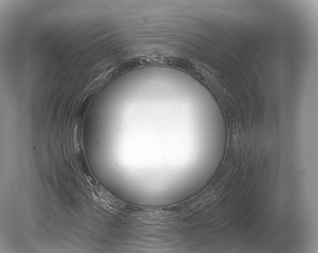 X0000080191060200612081154