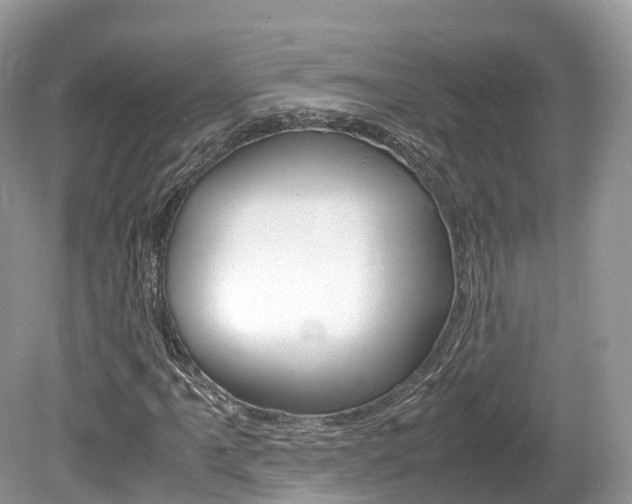 X0000080191061200612081154