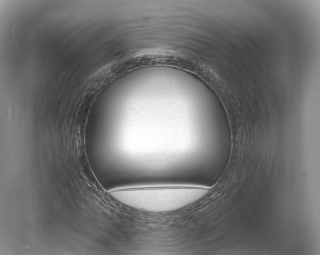 X0000080191062200612081154