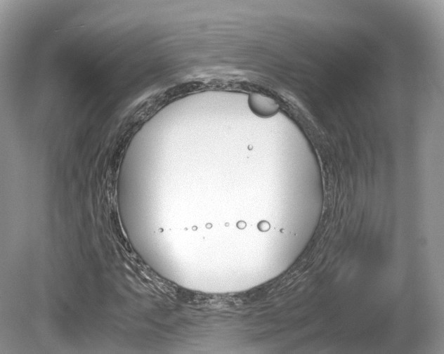 X0000080191063200612081154