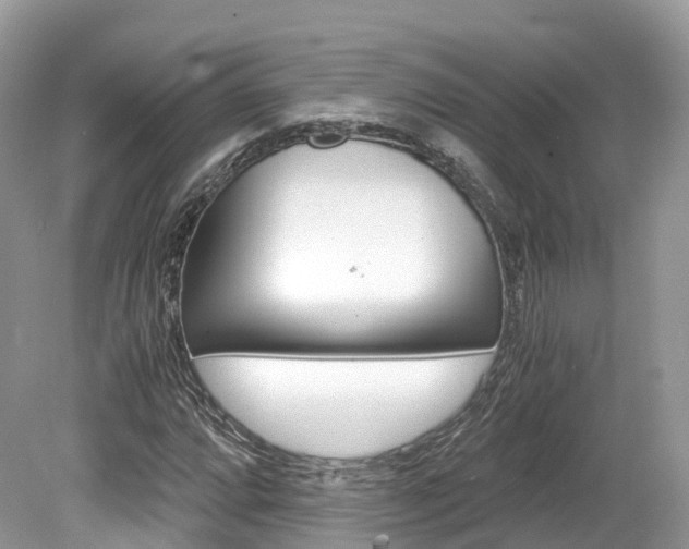 X0000080191064200612081154