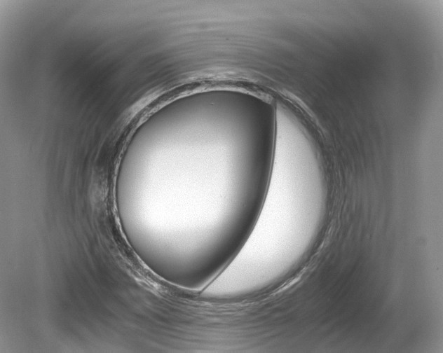 X0000080191065200612081154