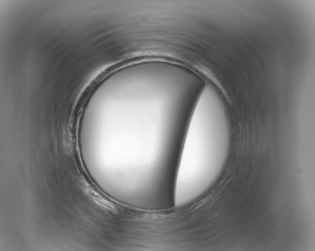 X0000080191068200612081154