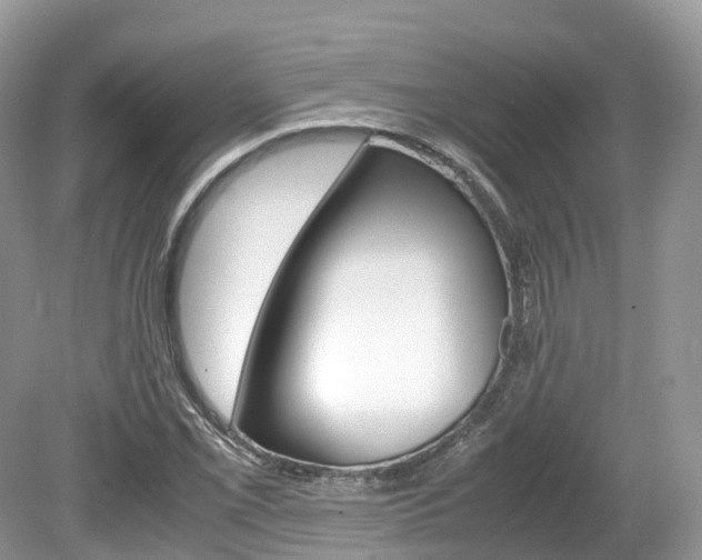 X0000080191069200612081154