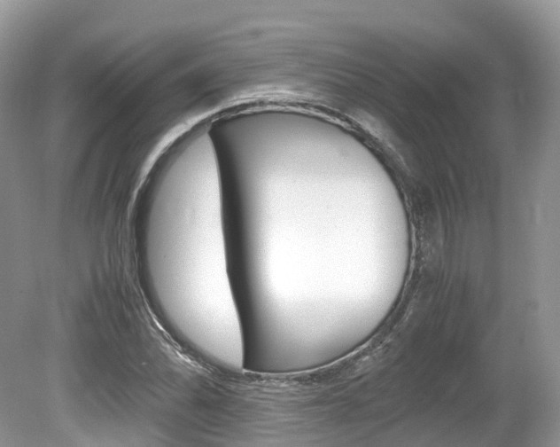 X0000080191070200612081154