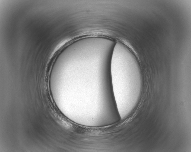 X0000080191071200612081154