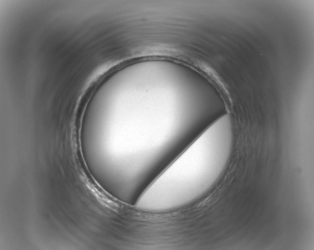 X0000080191072200612081154