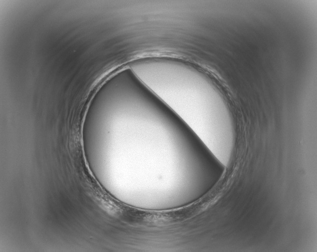 X0000080191073200612081154