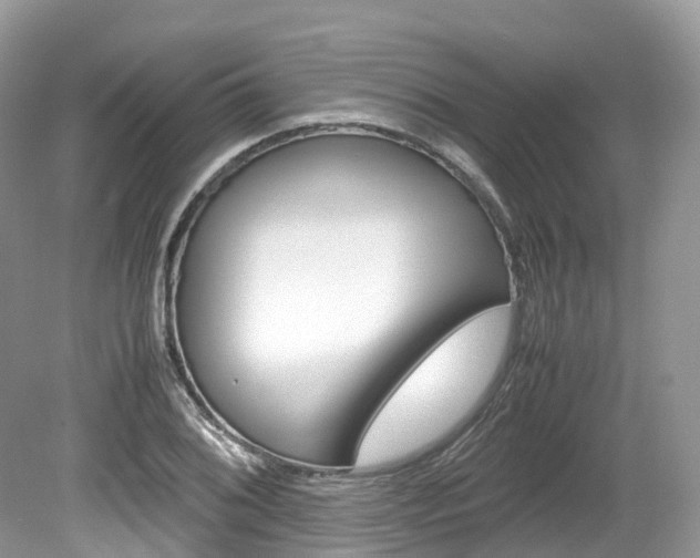 X0000080191076200612081154