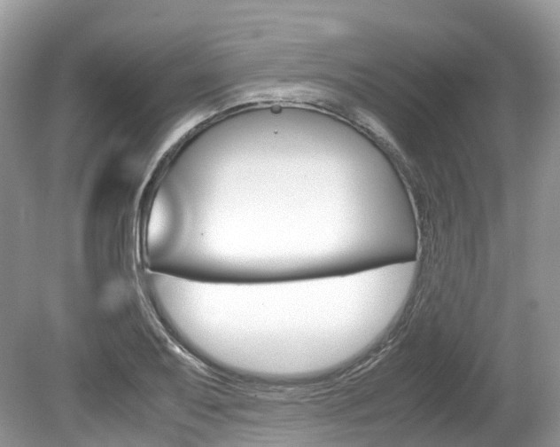 X0000080191079200612081154
