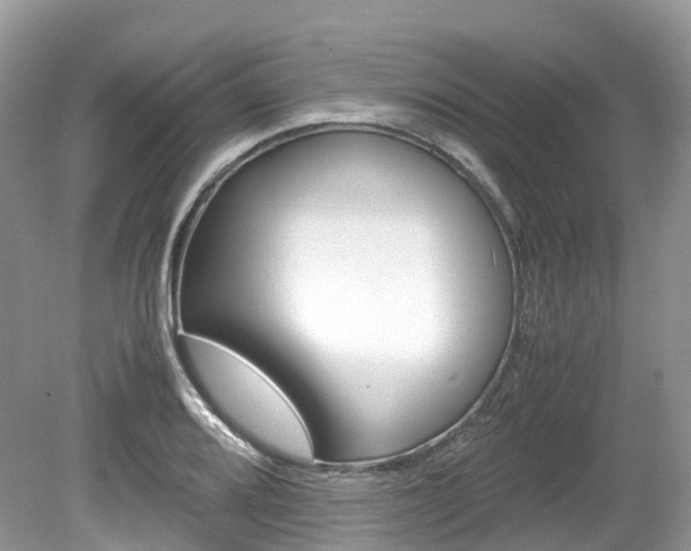 X0000080191080200612081154
