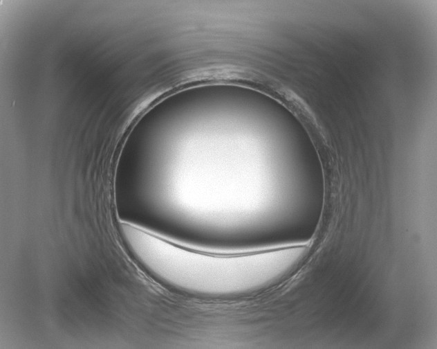 X0000080191081200612081154