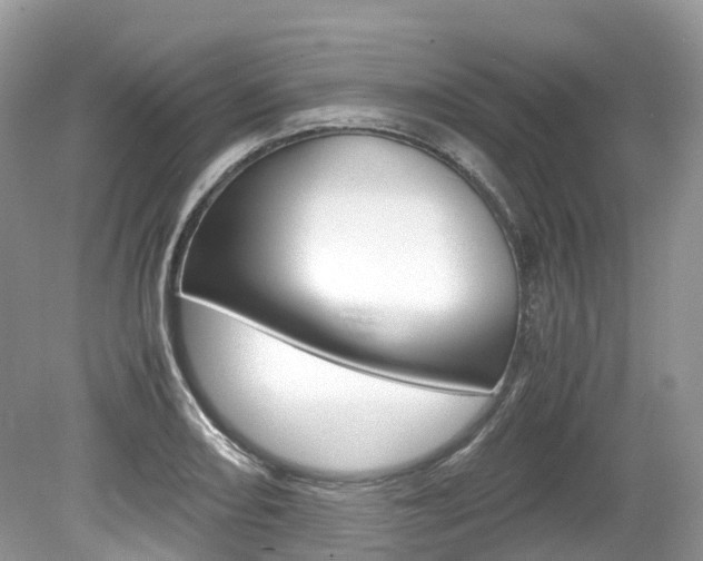 X0000080191082200612081154