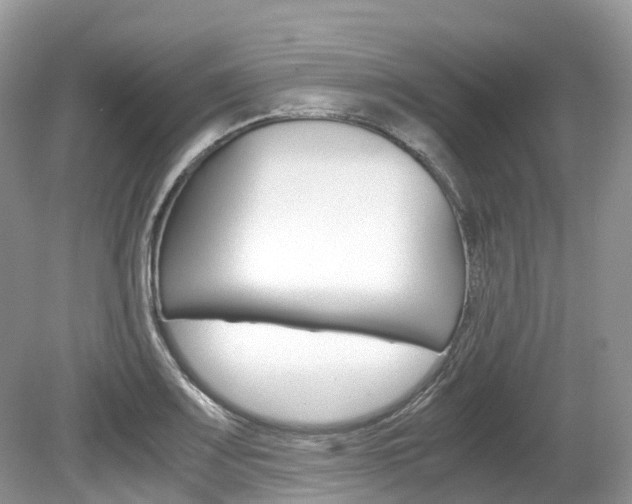 X0000080191083200612081154