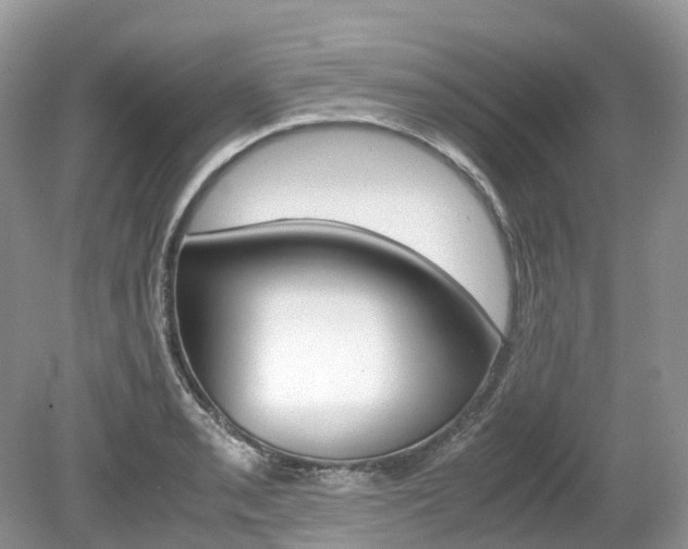 X0000080191085200612081154