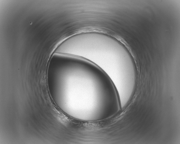 X0000080191089200612081154