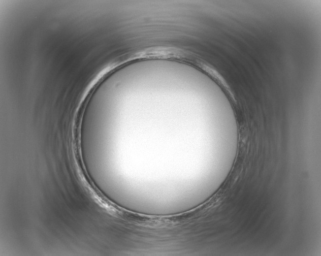 X0000080191091200612081153