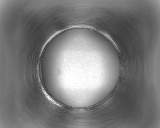 X0000080191100200612081153