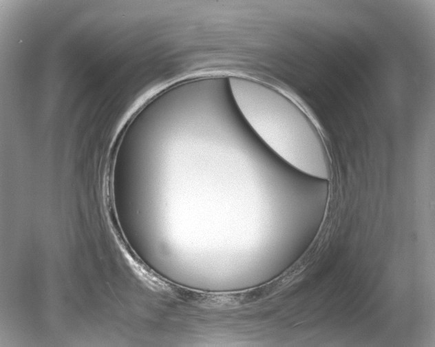 X0000080191101200612081153