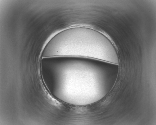 X0000080191102200612081153