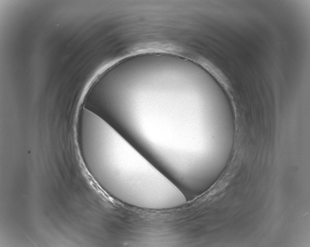 X0000080191104200612081153