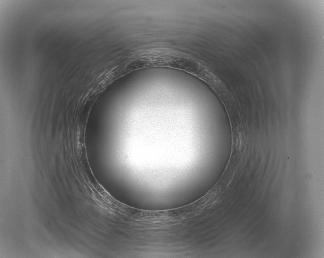 X0000080191108200612081153