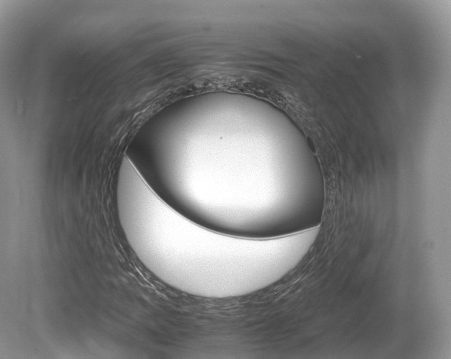 X0000080191109200612081153