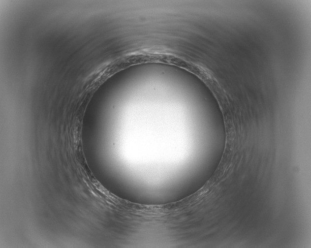 X0000080191110200612081153