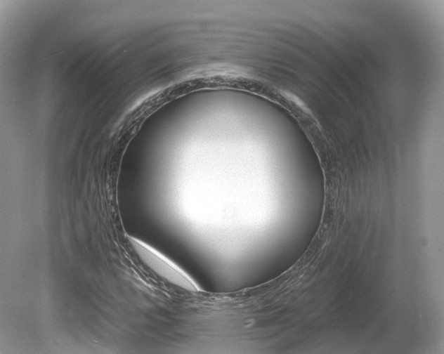 X0000080191112200612081153