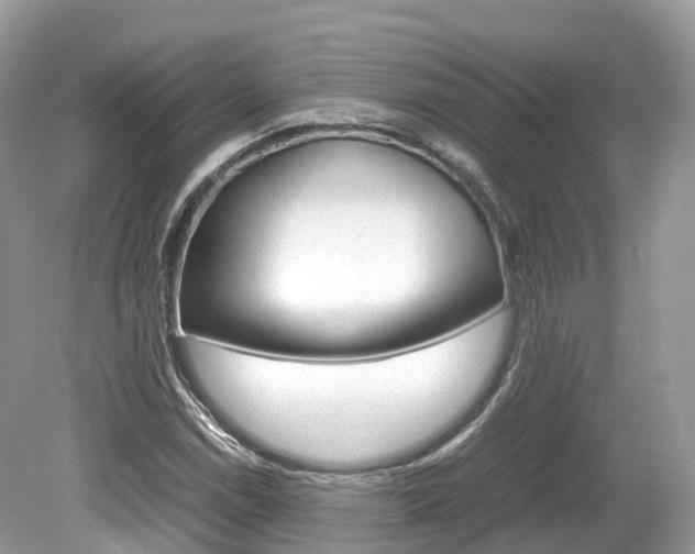 X0000080191114200612081153