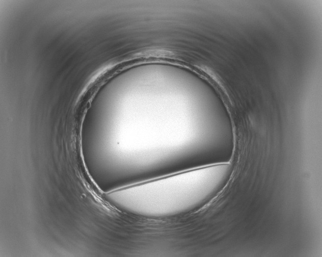 X0000080191115200612081153