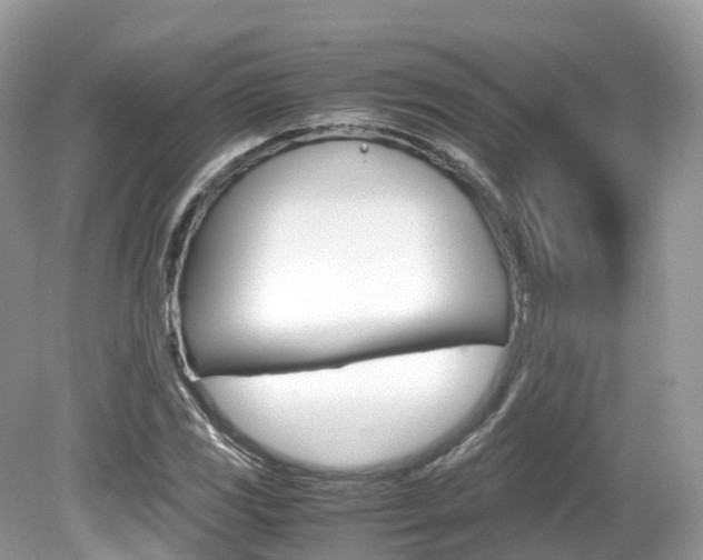 X0000080191117200612081153