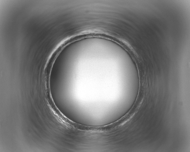 X0000080191118200612081153