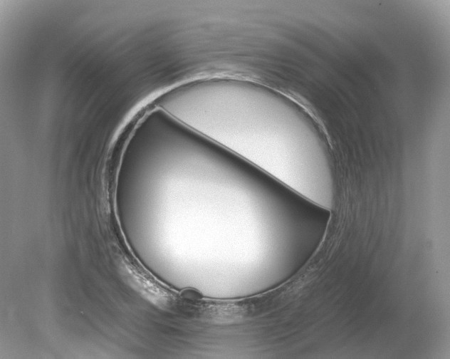 X0000080191120200612081153