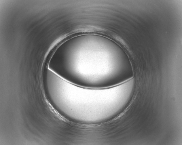 X0000080191122200612081153