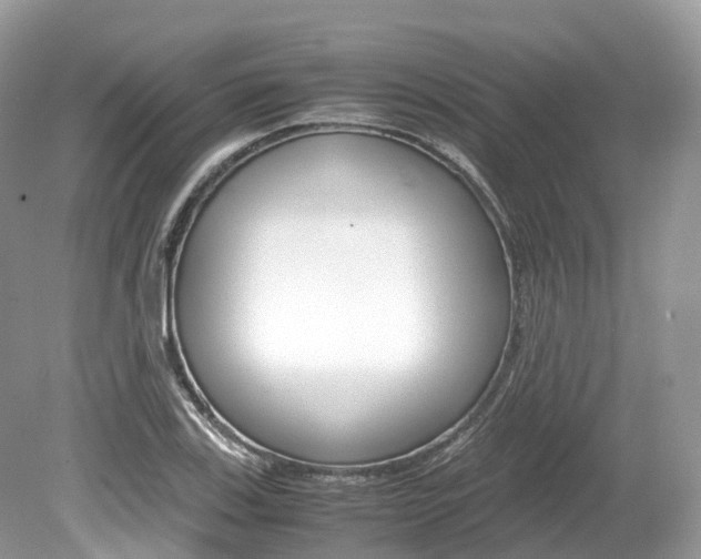 X0000080191123200612081153